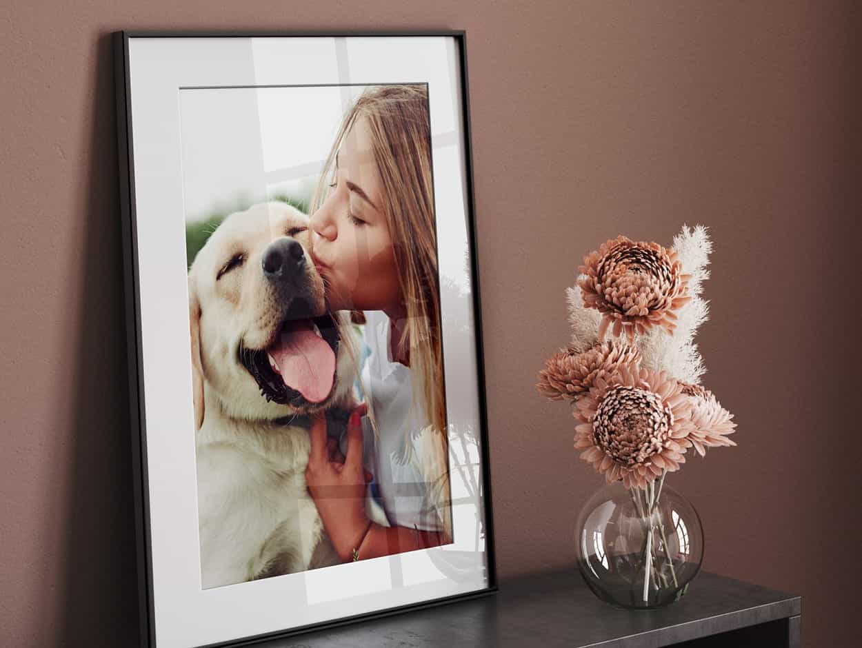 Afbeelding van een hond op een ingelijste foto