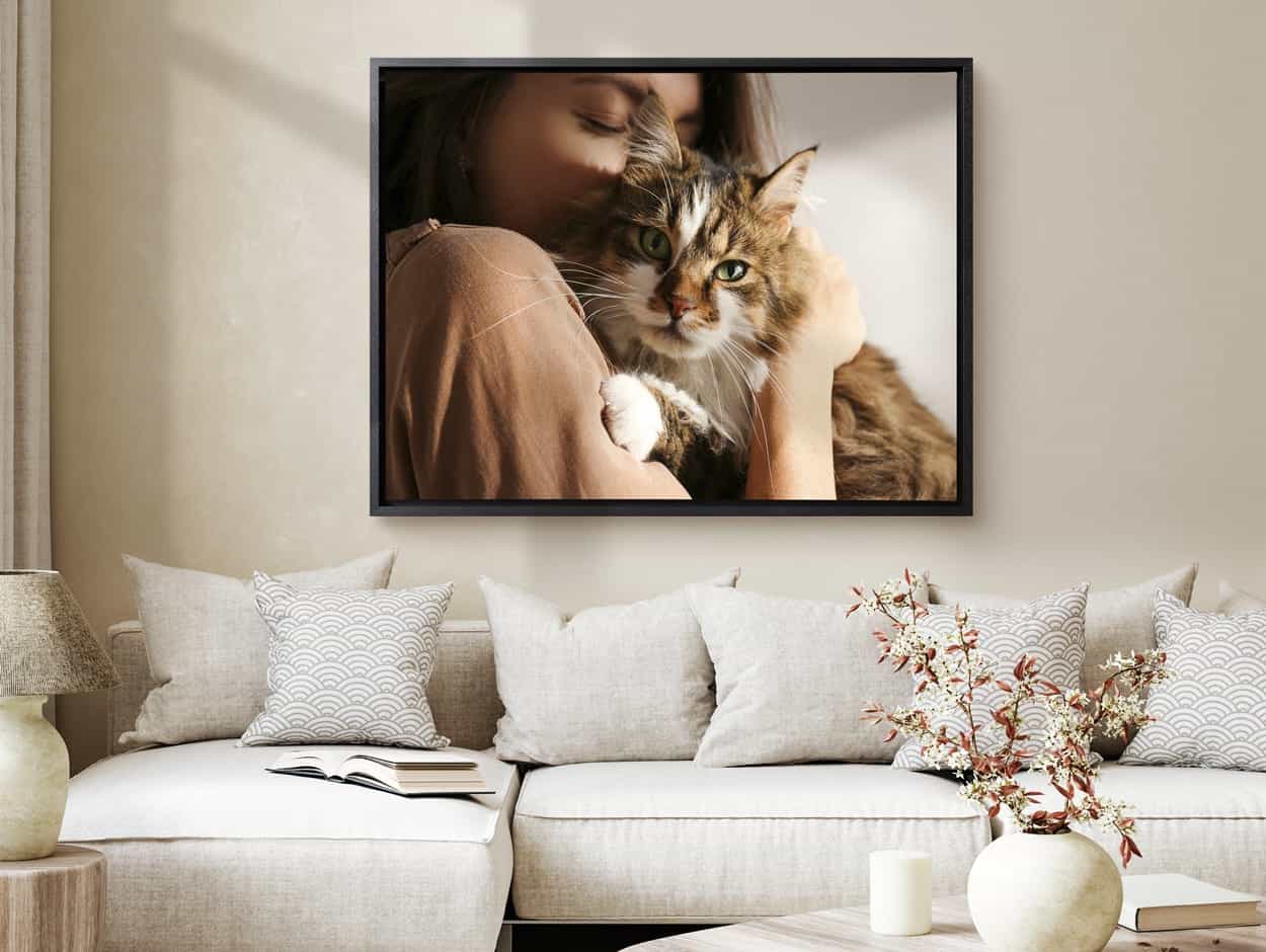Afbeelding van een poes op canvas in een baklijst