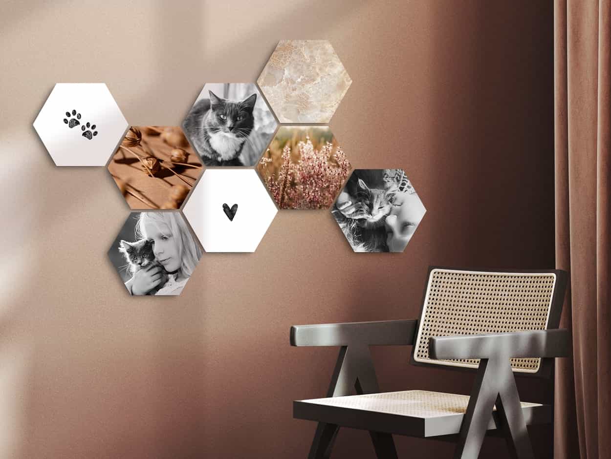 CusttomShapes met afbeeldingen van poezen
