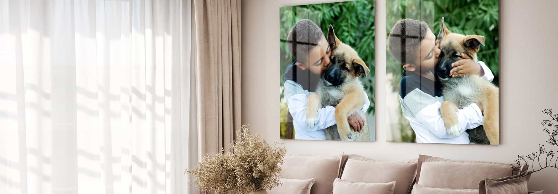 Afbeelding van een hond op HD Metal