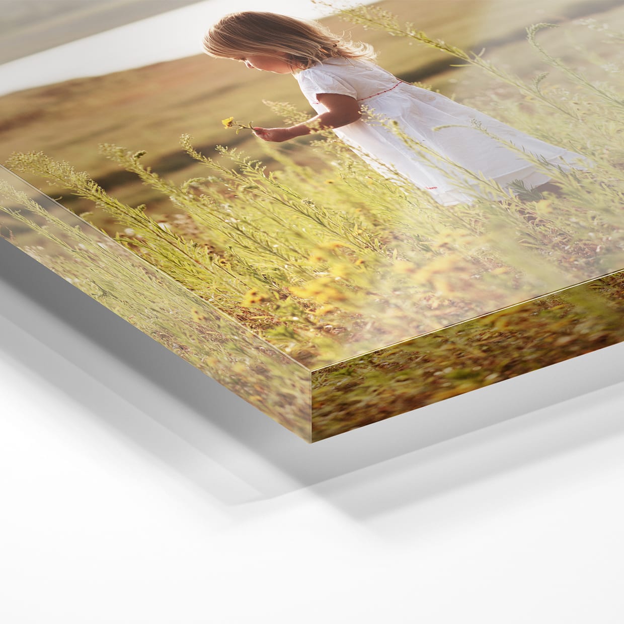 Foto op plexiglas met GRATIS ophangsysteem