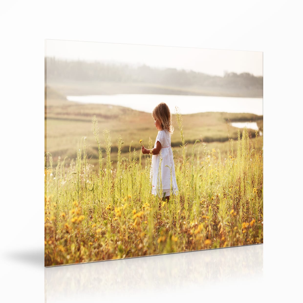 Foto op plexiglas